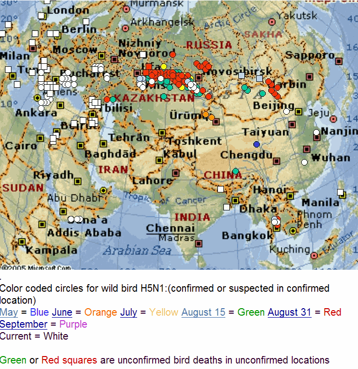 Bird flu outbreaks as of 27-Oct-2005<font size=-2>(Source: Recombinomics.com)</font>