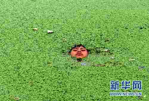 Keeping cool amid a duckweed crisis <font face=Arial size=-2>(Source: Global Times)</font>