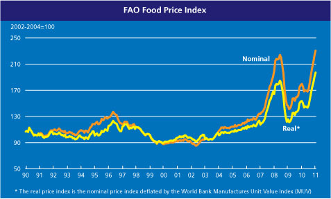 FAO Food Price Index -  1991 - January 2011