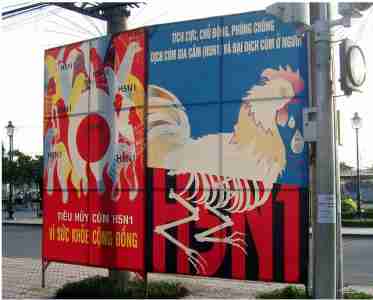  A Vietnamese billboard warning about bird flu