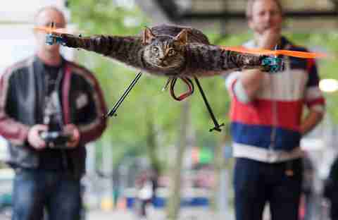 Bart Jansen guides his pet cat Orville via wireless remote control (Reuters)