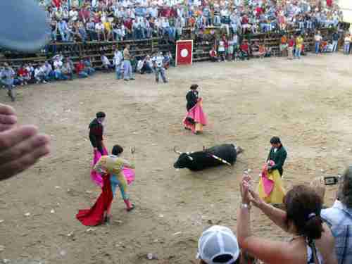 Bullfight to the death televised in Portugal