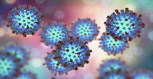 Measles virus