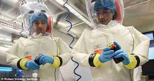 Scientists at the Wuhan Virology Institute wear high-grade hazmat suits. On the institute's grounds is the Wuhan Biosafety Laboratory, which is designated to study the most dangerous pathogens, including viruses like Ebola and SARS.  There are denied rumors that Covid-19 was man made at the Wuhan lab.  (Daily Mail)