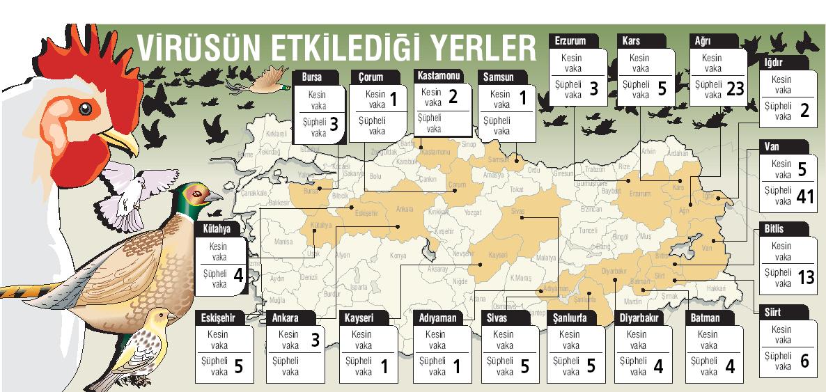 Human H5N1 in Turkey. For each province, the number above the line is confirmed cases of H5N1 in humans, and below the line is the number of suspected cases awaiting tests. <font size=-2>(Source: sabah.com.tr)</font>